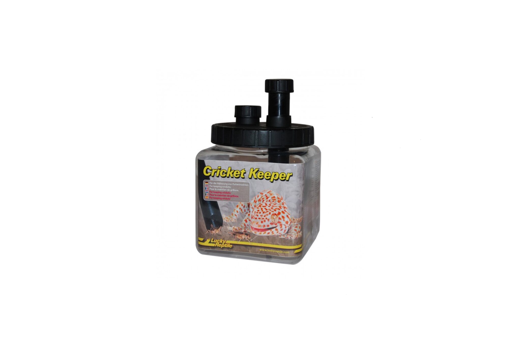 Lucky Reptile Cricket Keeper Pet Shop Dexter