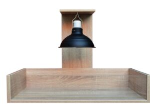 Kornjača kit kopnena