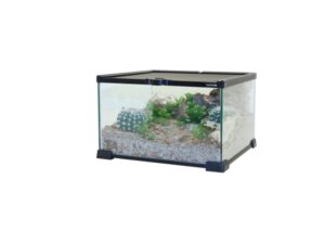 Komodo Terrarium 31x31x20