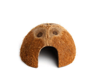 Komodo Habitat Coconut Den