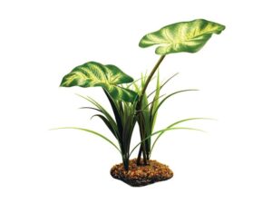 Komodo Broadleaf Canopy