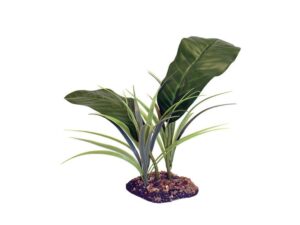 Komodo Evergreen Canopy