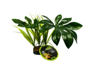 Komodo Jungle Canopy