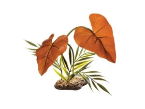 Komodo Rainforest Canopy