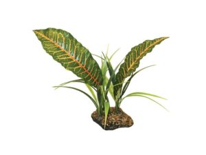 Komodo Tropical Canopy