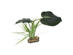 Komodo Woodland Canopy