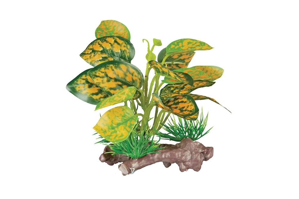 Komodo Yellow Pathos Canopy